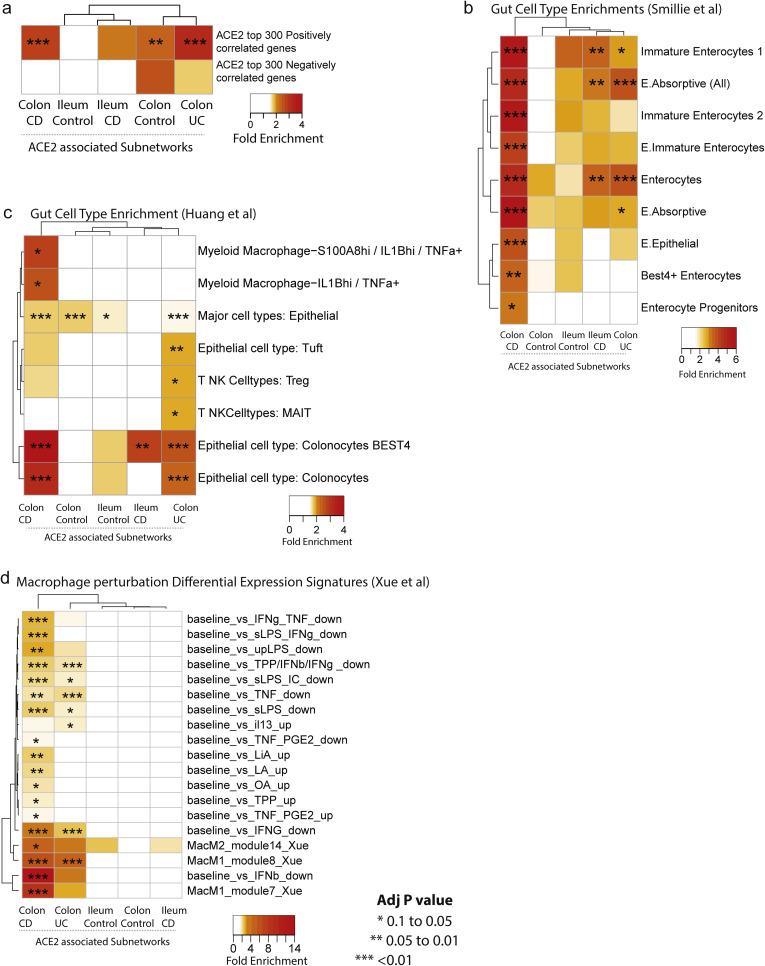 https://cdn.ncbi.nlm.nih.gov/pmc/blobs/8c07/7516468/0bf0329fa6f6/fx8_lrg.jpg