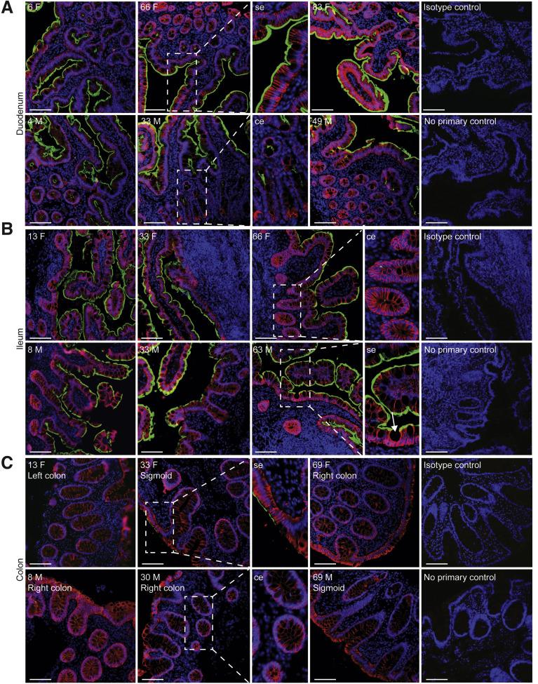 https://cdn.ncbi.nlm.nih.gov/pmc/blobs/8c07/7516468/4c235a7dbe6f/gr1_lrg.jpg