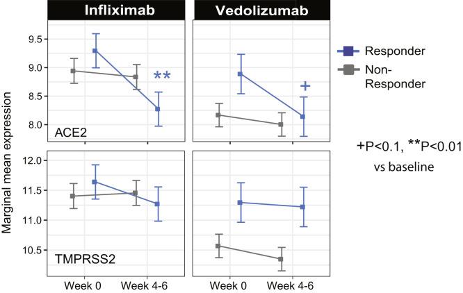 https://cdn.ncbi.nlm.nih.gov/pmc/blobs/8c07/7516468/6127b1355c88/fx6_lrg.jpg