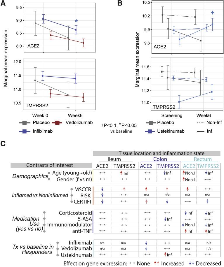 https://cdn.ncbi.nlm.nih.gov/pmc/blobs/8c07/7516468/70a0e940ed2b/gr4_lrg.jpg