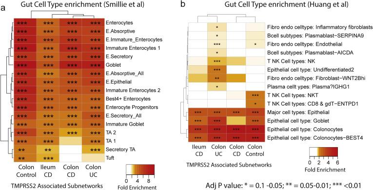https://cdn.ncbi.nlm.nih.gov/pmc/blobs/8c07/7516468/dffd60ed5dd0/fx10_lrg.jpg
