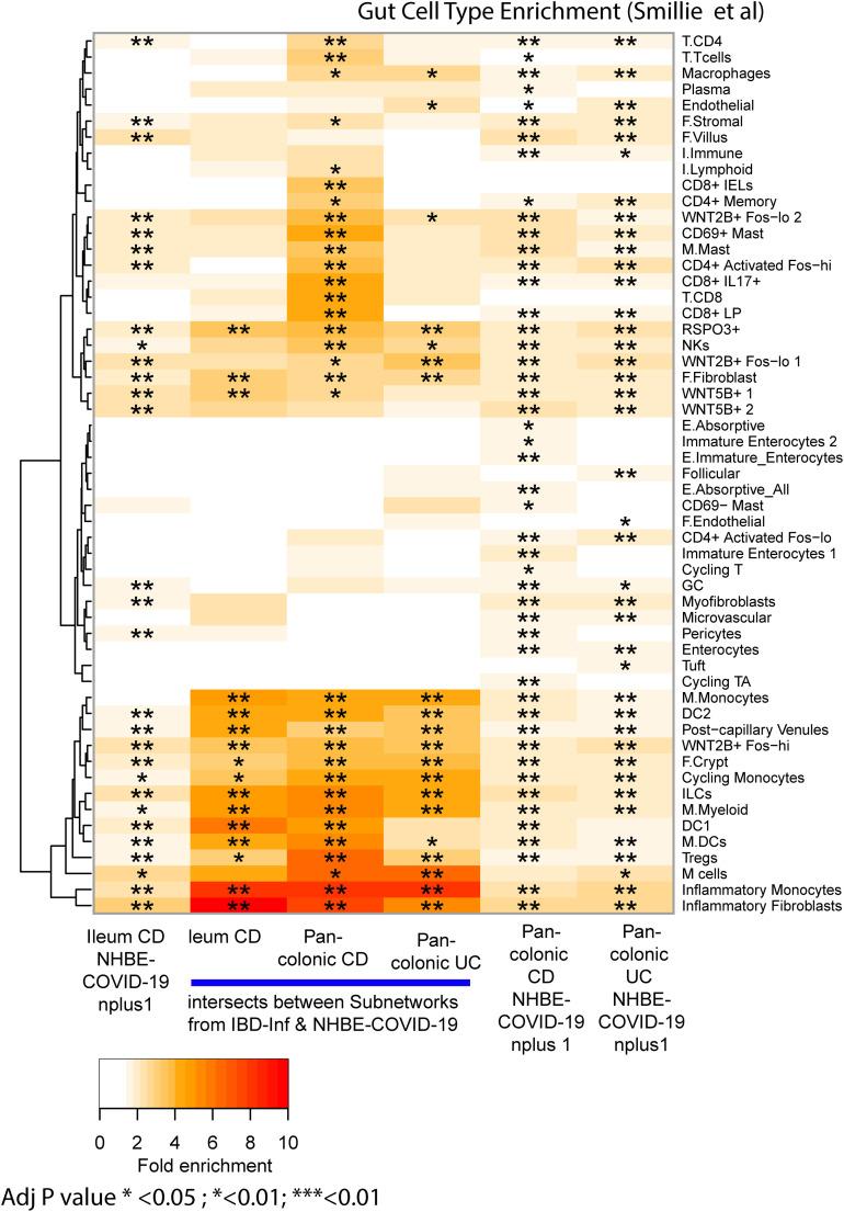 https://cdn.ncbi.nlm.nih.gov/pmc/blobs/8c07/7516468/f28ac5fa660d/fx13_lrg.jpg