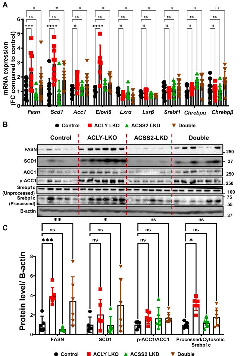 https://cdn.ncbi.nlm.nih.gov/pmc/blobs/8c08/9490592/7d29cd3ff838/gr4.jpg