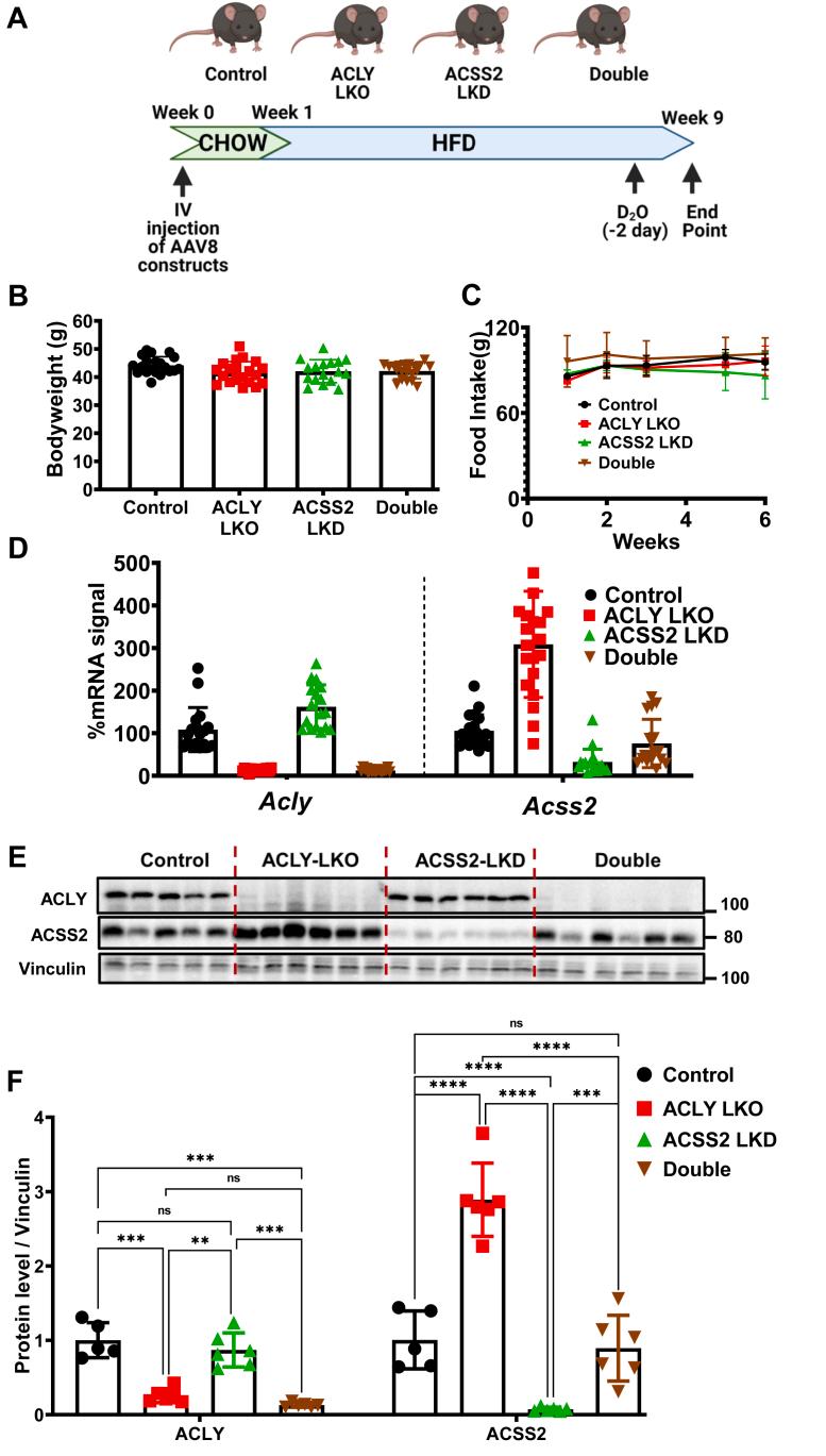 https://cdn.ncbi.nlm.nih.gov/pmc/blobs/8c08/9490592/afc1b39ea41b/gr2.jpg