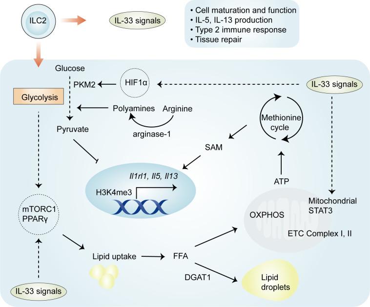 https://cdn.ncbi.nlm.nih.gov/pmc/blobs/8c09/9376228/7dae22db4888/fimmu-13-900826-g002.jpg
