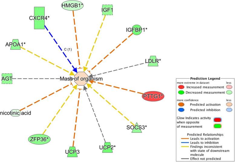 https://cdn.ncbi.nlm.nih.gov/pmc/blobs/8c0c/11165755/bb316d633248/12864_2024_10325_Fig9_HTML.jpg