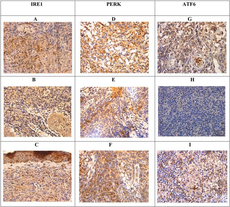 https://cdn.ncbi.nlm.nih.gov/pmc/blobs/8c0f/11225291/3d6d54e56281/12014_2024_9499_Fig4_HTML.jpg