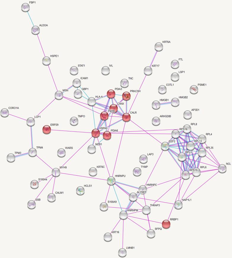 https://cdn.ncbi.nlm.nih.gov/pmc/blobs/8c0f/11225291/44af2d02cb51/12014_2024_9499_Fig2_HTML.jpg