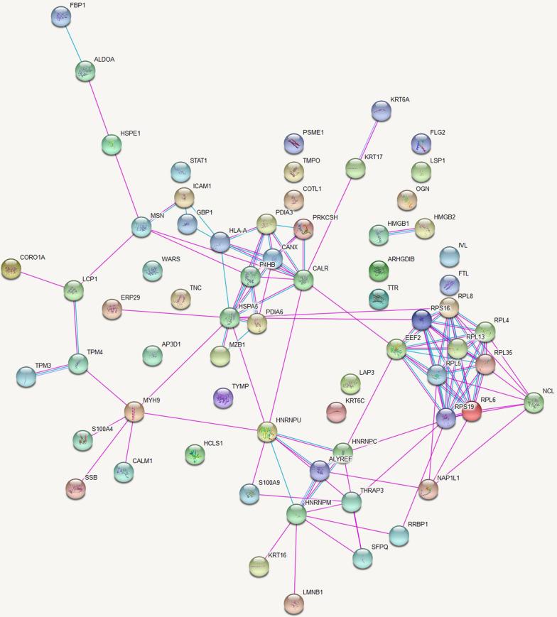 https://cdn.ncbi.nlm.nih.gov/pmc/blobs/8c0f/11225291/60d793647028/12014_2024_9499_Fig1_HTML.jpg