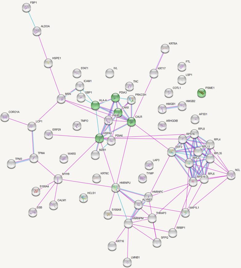 https://cdn.ncbi.nlm.nih.gov/pmc/blobs/8c0f/11225291/7b162d9b6b93/12014_2024_9499_Fig3_HTML.jpg