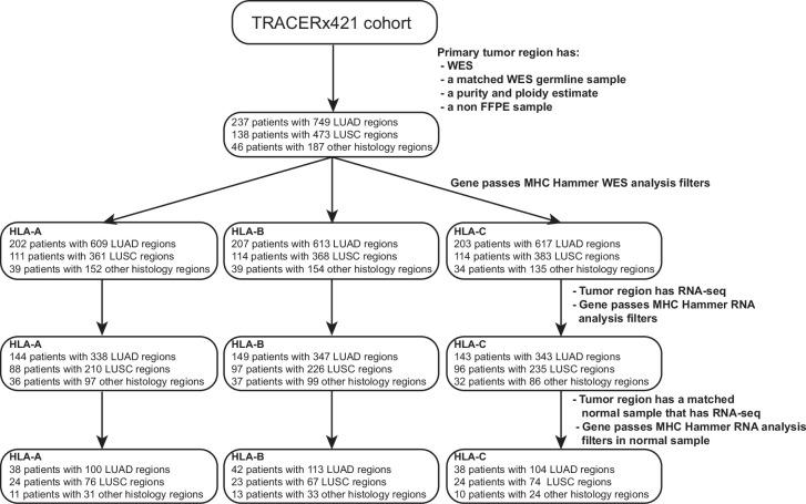 https://cdn.ncbi.nlm.nih.gov/pmc/blobs/8c0f/11525181/9448c4174ef7/41588_2024_1883_Fig6_ESM.jpg