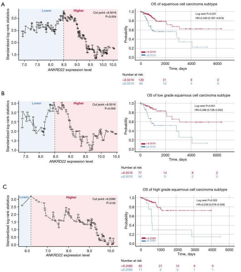 https://cdn.ncbi.nlm.nih.gov/pmc/blobs/8c0f/12335679/7da762b94e5a/tcr-14-07-4034-f4.jpg