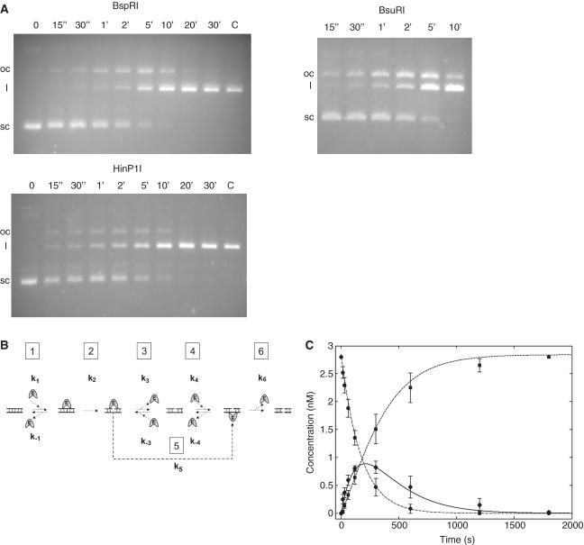 https://cdn.ncbi.nlm.nih.gov/pmc/blobs/8c10/2978348/947a0ed77c9b/gkq567f4.jpg