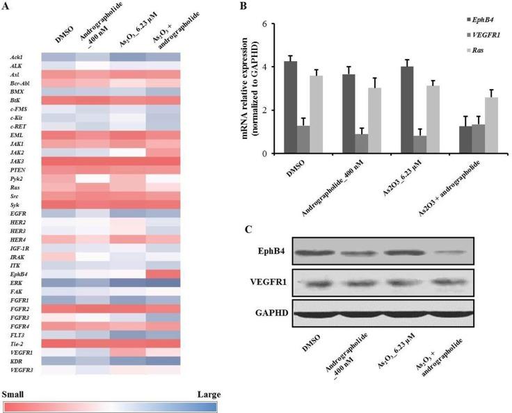 https://cdn.ncbi.nlm.nih.gov/pmc/blobs/8c10/5710893/44b9ee11e74f/oncotarget-08-90905-g003.jpg