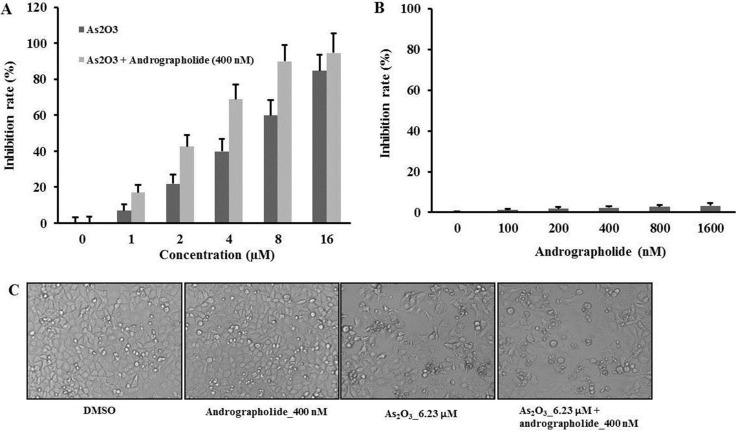 https://cdn.ncbi.nlm.nih.gov/pmc/blobs/8c10/5710893/93210cd1274f/oncotarget-08-90905-g001.jpg