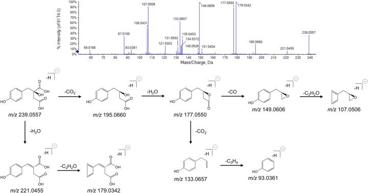 https://cdn.ncbi.nlm.nih.gov/pmc/blobs/8c11/11402757/51e0898bcf44/gr2.jpg