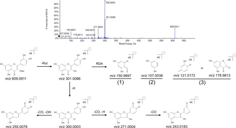 https://cdn.ncbi.nlm.nih.gov/pmc/blobs/8c11/11402757/8c97d05bf095/mmcfigs2.jpg