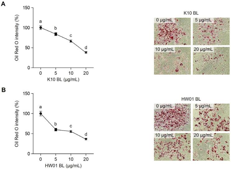 https://cdn.ncbi.nlm.nih.gov/pmc/blobs/8c11/9570163/d09947e8204b/ijms-23-11614-g001.jpg
