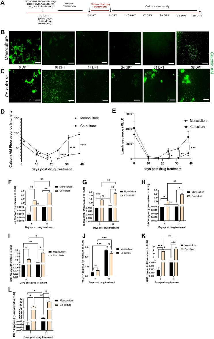 https://cdn.ncbi.nlm.nih.gov/pmc/blobs/8c12/10441219/71c9f49c4bb4/fphar-14-1211026-g003.jpg