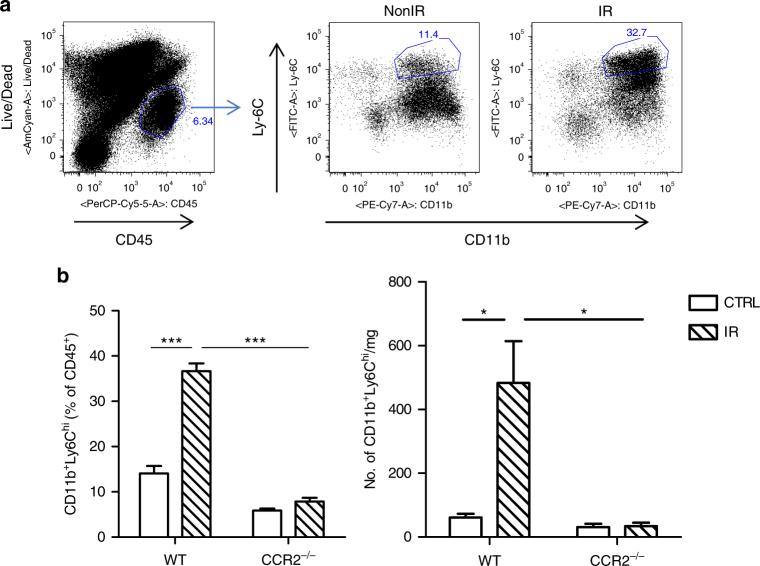 https://cdn.ncbi.nlm.nih.gov/pmc/blobs/8c12/5701019/19bfaeea83e7/41467_2017_1566_Fig1_HTML.jpg