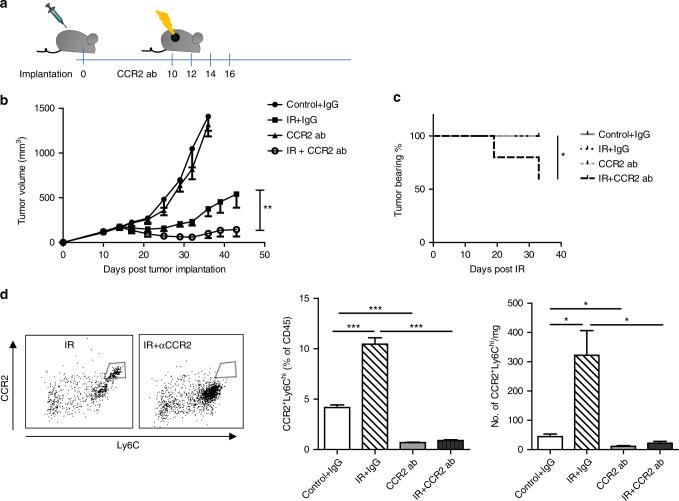 https://cdn.ncbi.nlm.nih.gov/pmc/blobs/8c12/5701019/2b016d28df4c/41467_2017_1566_Fig3_HTML.jpg