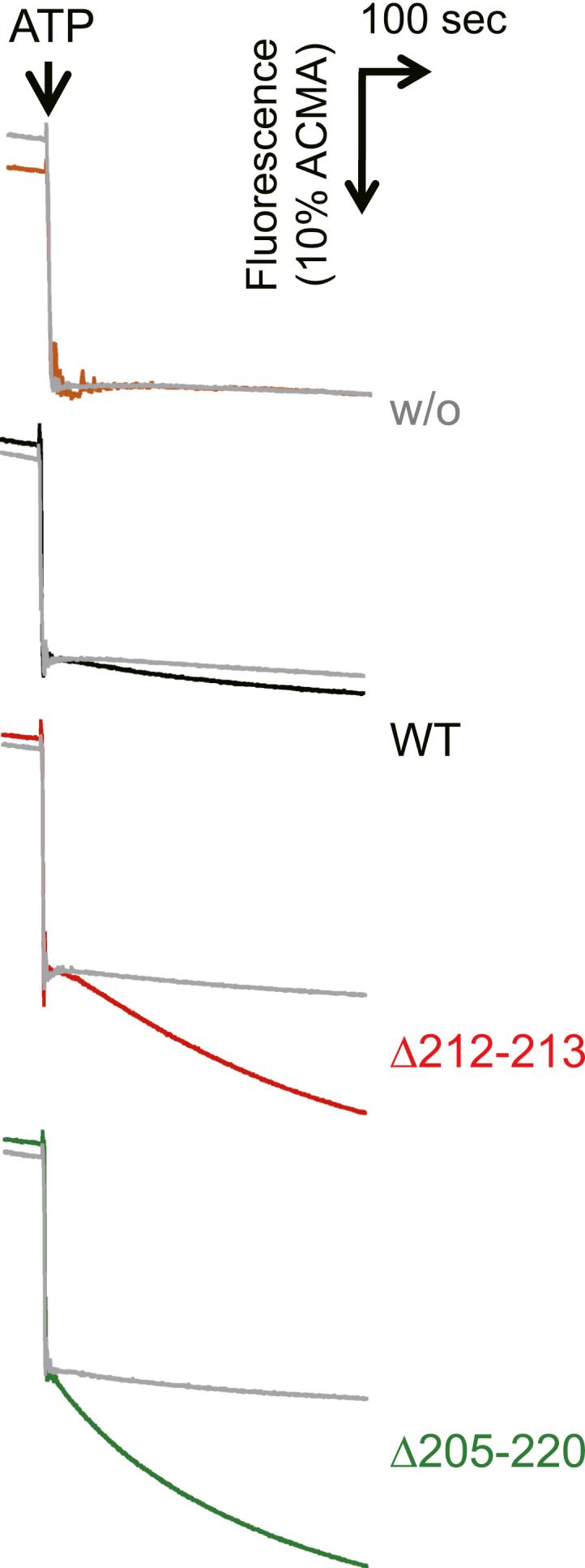 https://cdn.ncbi.nlm.nih.gov/pmc/blobs/8c14/8390522/cda3e4f51d70/gr4.jpg