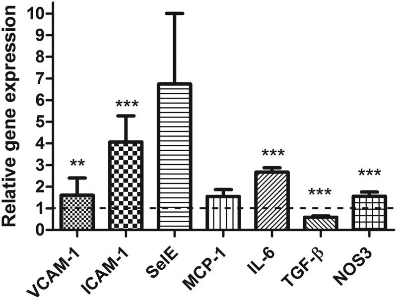 https://cdn.ncbi.nlm.nih.gov/pmc/blobs/8c15/6650200/07c9efa8b6fb/kcam-13-01-1644856-g004.jpg