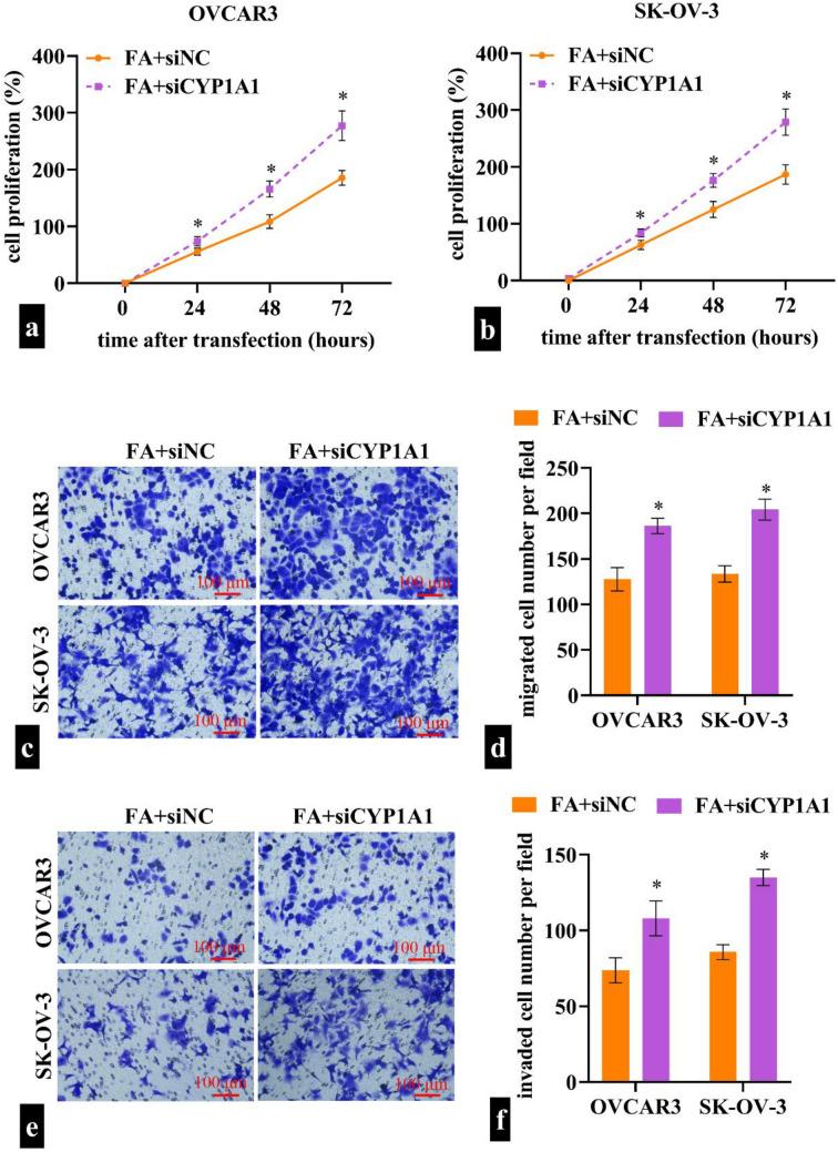 https://cdn.ncbi.nlm.nih.gov/pmc/blobs/8c17/11993516/1aa9efaa54c4/12672_2025_2236_Fig6_HTML.jpg