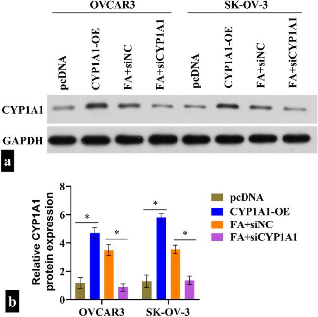 https://cdn.ncbi.nlm.nih.gov/pmc/blobs/8c17/11993516/232031b64b67/12672_2025_2236_Fig4_HTML.jpg
