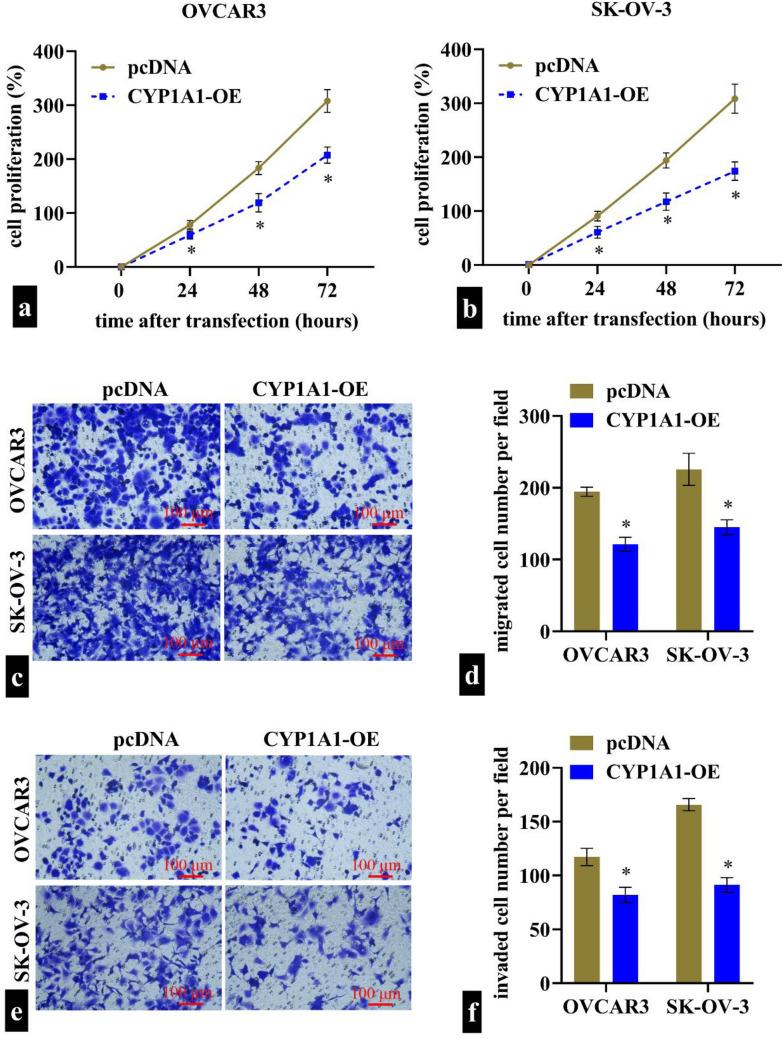 https://cdn.ncbi.nlm.nih.gov/pmc/blobs/8c17/11993516/94c2c430eb49/12672_2025_2236_Fig5_HTML.jpg