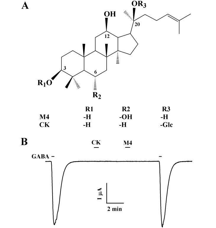 https://cdn.ncbi.nlm.nih.gov/pmc/blobs/8c17/3634089/27e77d9a6ca6/kjpp-17-127-g001.jpg