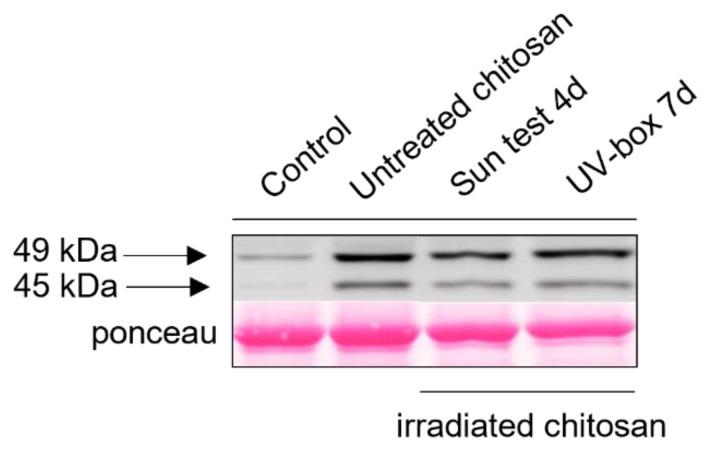 https://cdn.ncbi.nlm.nih.gov/pmc/blobs/8c18/10343625/fd50b1d89578/molecules-28-04954-g006.jpg