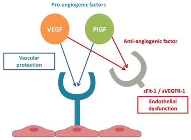 https://cdn.ncbi.nlm.nih.gov/pmc/blobs/8c18/10669317/b130bd810a9d/biomedicines-11-02917-g001.jpg