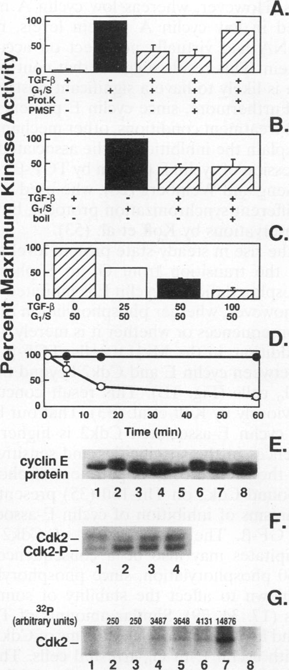 https://cdn.ncbi.nlm.nih.gov/pmc/blobs/8c18/358736/017ae41c9037/molcellb00006-0171-a.jpg