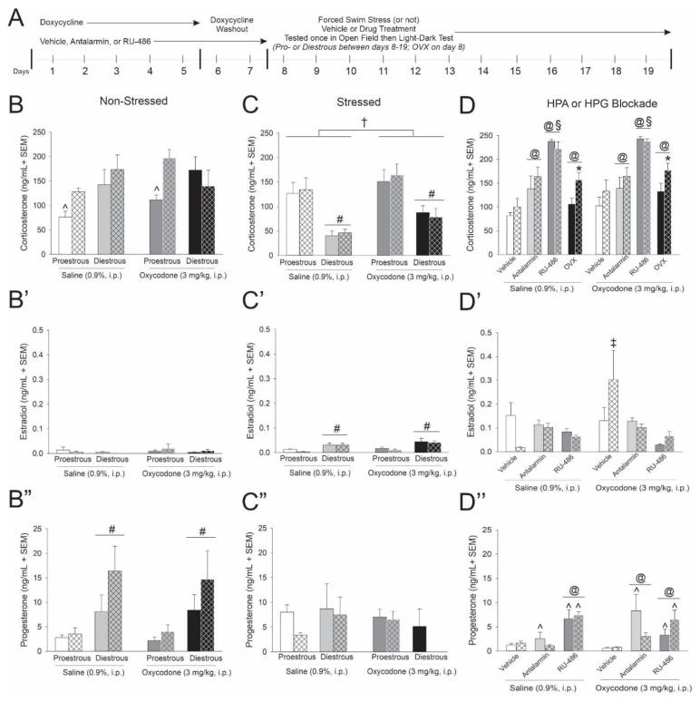 https://cdn.ncbi.nlm.nih.gov/pmc/blobs/8c19/8147167/fbddeb73e365/viruses-13-00813-g002.jpg