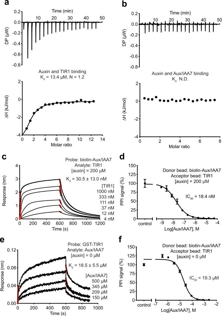 https://cdn.ncbi.nlm.nih.gov/pmc/blobs/8c1a/8831599/81ba2a5582a1/41467_2022_28507_Fig5_HTML.jpg