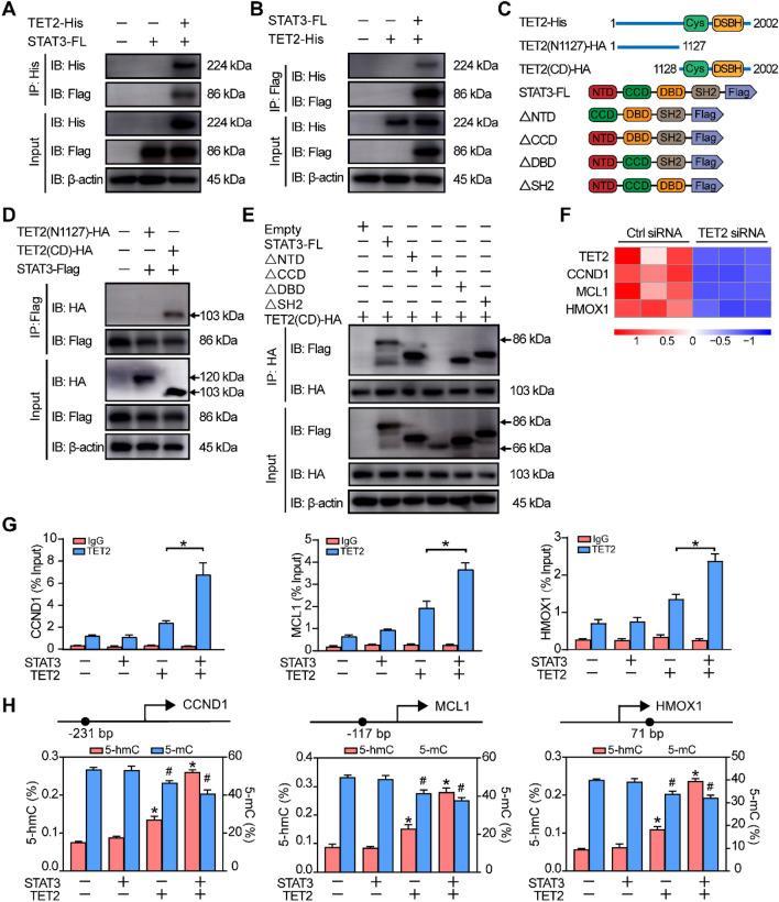 https://cdn.ncbi.nlm.nih.gov/pmc/blobs/8c1e/9850815/8cfe0ae86c32/13578_2023_960_Fig5_HTML.jpg