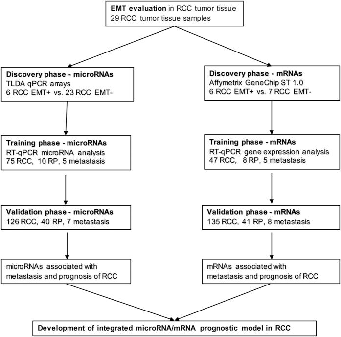https://cdn.ncbi.nlm.nih.gov/pmc/blobs/8c20/4994011/b866253d1dd8/srep31852-f1.jpg