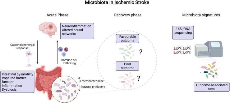 https://cdn.ncbi.nlm.nih.gov/pmc/blobs/8c20/8931359/f4f5ad3c02c5/gr1.jpg