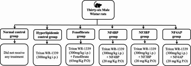 https://cdn.ncbi.nlm.nih.gov/pmc/blobs/8c21/12164116/8a3921c7f159/12944_2025_2624_Fig1_HTML.jpg