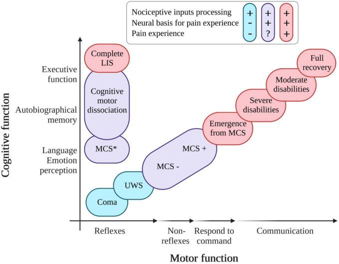 https://cdn.ncbi.nlm.nih.gov/pmc/blobs/8c22/10067681/37ac4c208a76/fnsys-17-1112206-g001.jpg