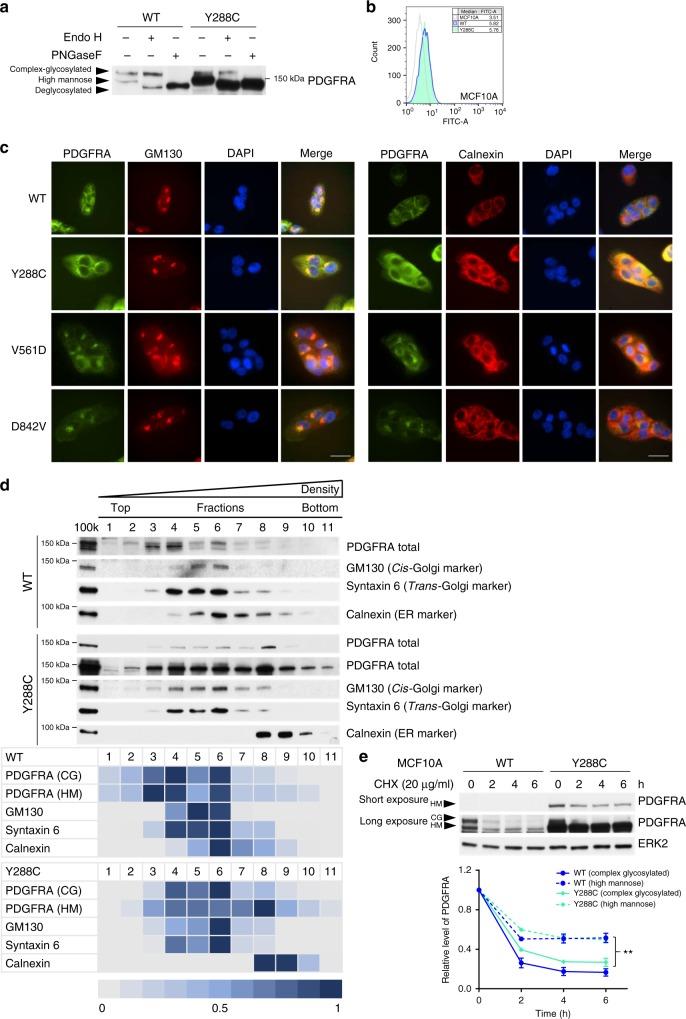https://cdn.ncbi.nlm.nih.gov/pmc/blobs/8c22/6214970/069303d543c3/41467_2018_6949_Fig2_HTML.jpg