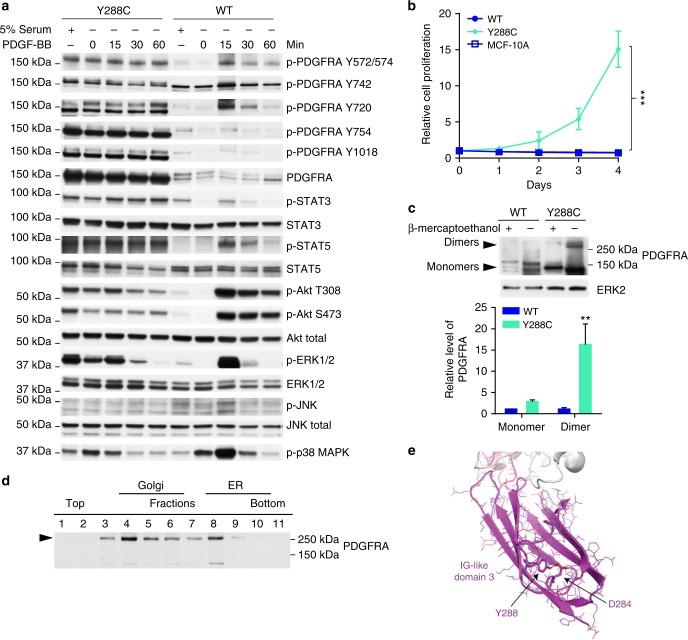 https://cdn.ncbi.nlm.nih.gov/pmc/blobs/8c22/6214970/60ac0bd9980c/41467_2018_6949_Fig3_HTML.jpg