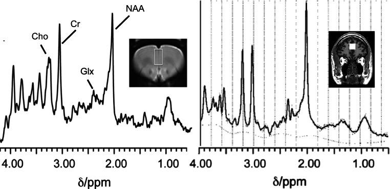 https://cdn.ncbi.nlm.nih.gov/pmc/blobs/8c22/8062504/23fc22f7cec5/213_2019_5344_Fig1_HTML.jpg
