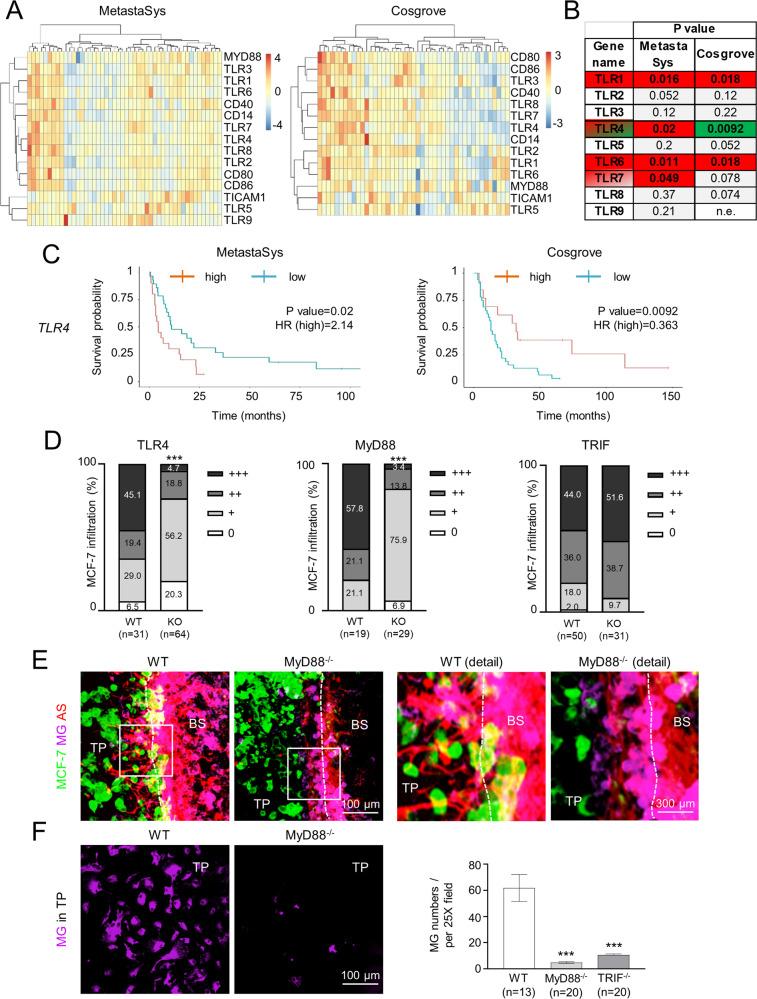 https://cdn.ncbi.nlm.nih.gov/pmc/blobs/8c22/9652147/b87f508d059a/41388_2022_2496_Fig1_HTML.jpg