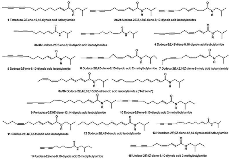 https://cdn.ncbi.nlm.nih.gov/pmc/blobs/8c23/11504277/53a14c34cbf2/antibiotics-13-00947-g002.jpg
