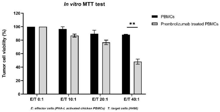 https://cdn.ncbi.nlm.nih.gov/pmc/blobs/8c23/9264844/13fc01e36615/cancers-14-03095-g004.jpg
