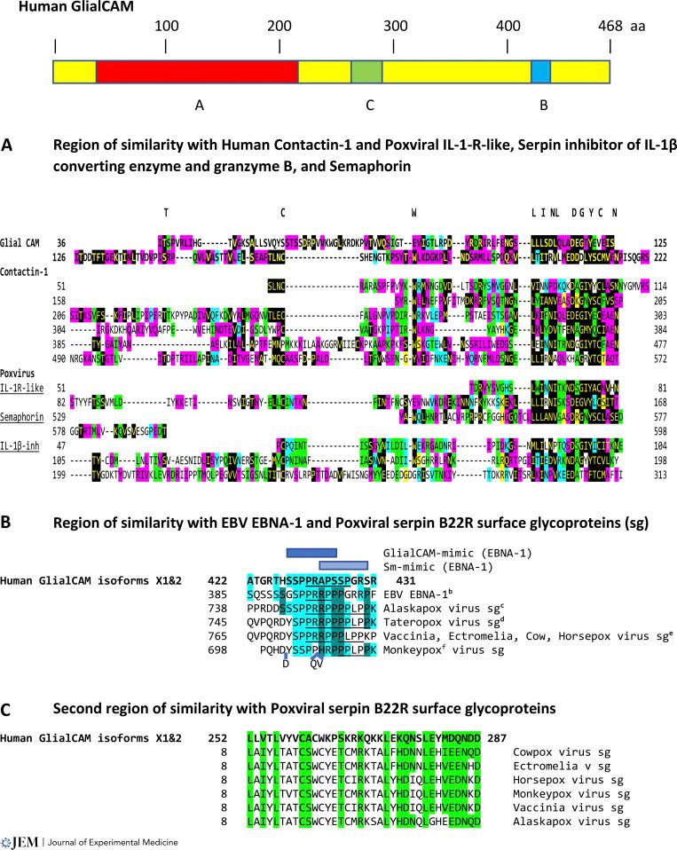 https://cdn.ncbi.nlm.nih.gov/pmc/blobs/8c23/9880878/542e8a9a1605/JEM_20221322_Fig2.jpg