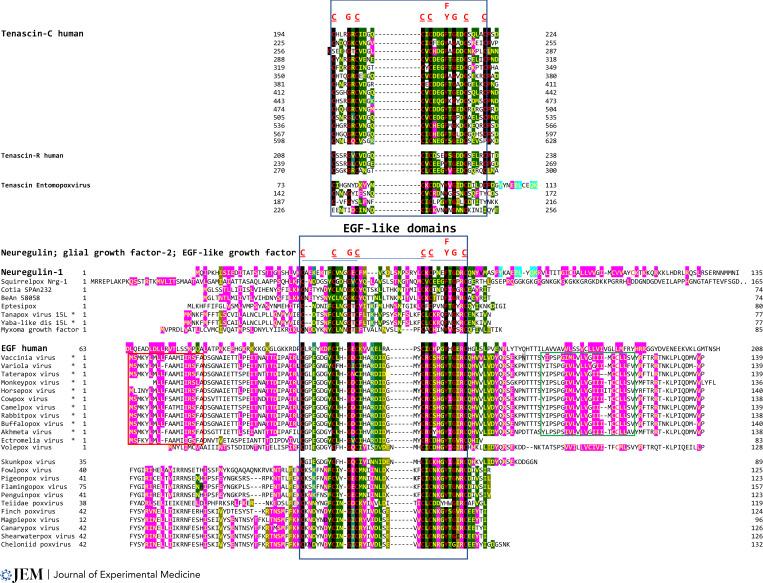 https://cdn.ncbi.nlm.nih.gov/pmc/blobs/8c23/9880878/ddfcc6169176/JEM_20221322_Fig1.jpg