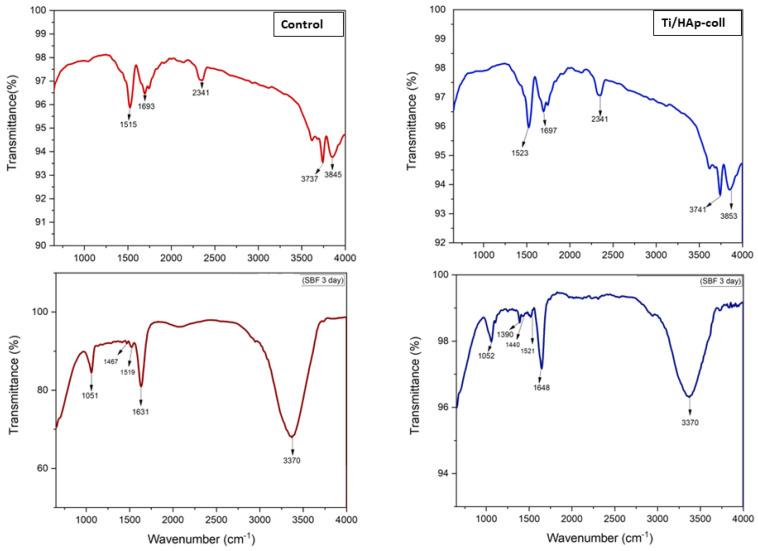 https://cdn.ncbi.nlm.nih.gov/pmc/blobs/8c24/9774233/653890d44408/bioengineering-09-00784-g004.jpg